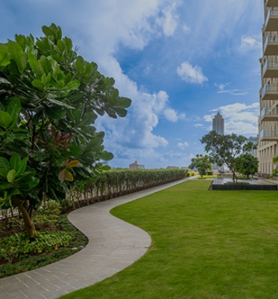 Urban Green Retreat